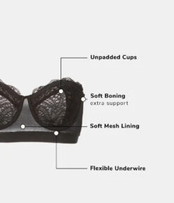 The Lace Strapless: Jet Black -Livery Store 6 product flat functions lace strapless jet black